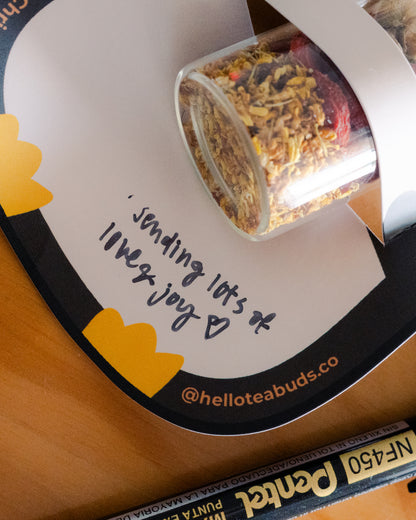 Christmas Mini Buddies - Gingerbread and Penguin